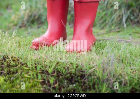 Kleiner Junge trägt rote schlammige Regenstiefel über grünem nassem Gras. Regenzeit und Kinderkonzept Stockfoto