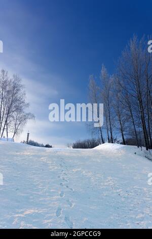 Reihe von Fußabdrücken auf einem Berghang in frischen bedeckt Weißer Schnee an einem schönen kalten sonnigen Wintertag mit Blauer Himmel, der von unten auf Bäume blickt Stockfoto