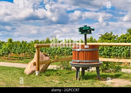 Wiesloch, Deutschland - August 2021: Ausstellung von Weintrauben- und Obstpressen in Weinbergen Stockfoto