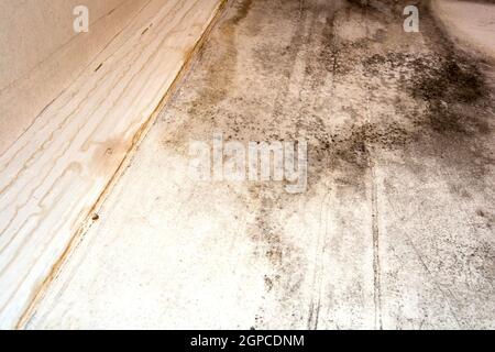 Schwarzer Schimmel in der Ecke, alte Decke des Gebäudes, Wasserschaden verursacht Schimmelbildung, gefährlicher giftiger Pilz im Zimmer, renovierungsbedürftig Haus, Kopie Stockfoto