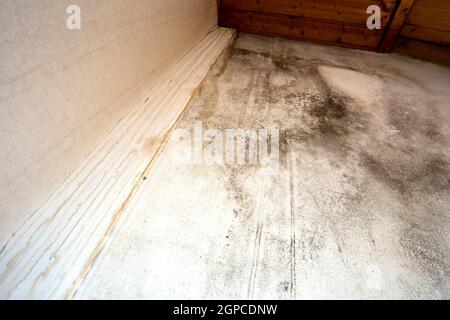 Schwarzer Schimmel in der Ecke, alte Decke des Gebäudes, Wasserschaden verursacht Schimmelbildung, gefährlicher giftiger Pilz im Zimmer, renovierungsbedürftig Haus, Kopie Stockfoto