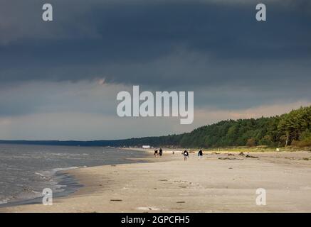 Stegna, Polen - 4. September 2020: Ein wunderschöner Strand für lange Spaziergänge an der Weichselspinne zwischen Jantar und Stegna. Polen Stockfoto