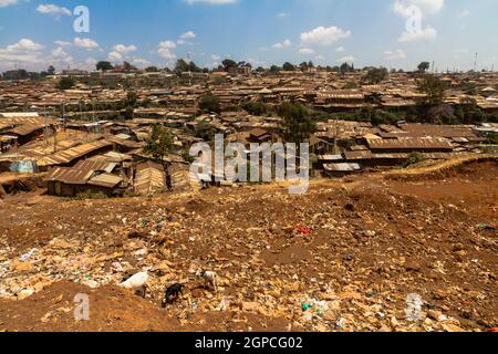 Ziegen fressen durch einen Müllhaufen neben einem Teil der Kibera-Slums in Nairobi, Kenia. Stockfoto