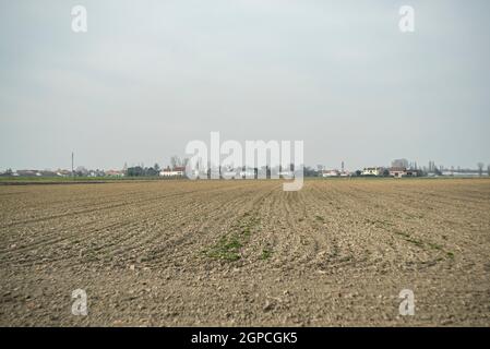 Feldlandschaft bereit für die Aussaat der Ernte Stockfoto