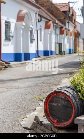 Terezin Weinkeller, Südmähren, Tschechische Republik Stockfoto