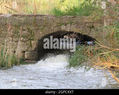 Ruinen Mühle fließendes Wasser in alten Wert gefallen Stockfoto