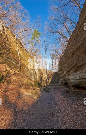 Sonne und Schatten in einem Sandstein Canyon im Bundesstaat Matthiessen Park in Illinois Stockfoto