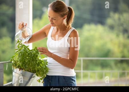 Hübsche, junge Frau, die Kräuter wässert, die sie auf ihrem Balkon wächst. Stockfoto