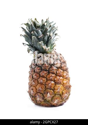 Ananas, isoliert auf weißem Hintergrund Stockfoto