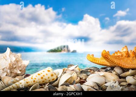 Shell beach and cliff in the sea near Budva, Montenegro Stockfoto