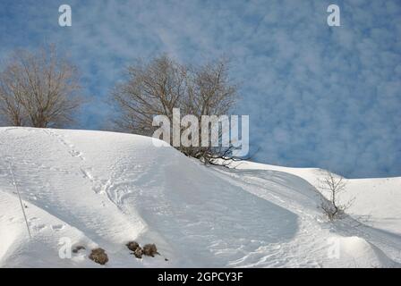 Mount Hermon mit Schnee. Das Skigebiet. Israel Stockfoto