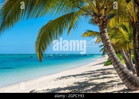 Le Morne, Mauritius - 11. Dezember 2015: Unglaublich weißen Strände der Insel Mauritius. Tropischer Urlaub in Le Morne Beach, Mauritius, einer der schönsten Stockfoto