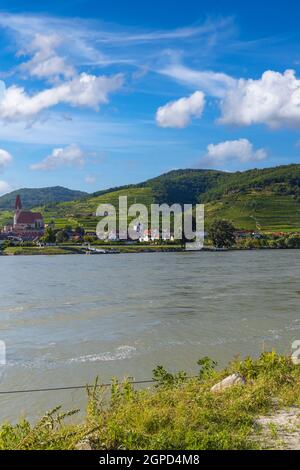 Wachau bei Durnstein, UNESCO-Weltkulturerbe, Landschaft mit Weinbergen und Donau, Österreich Stockfoto