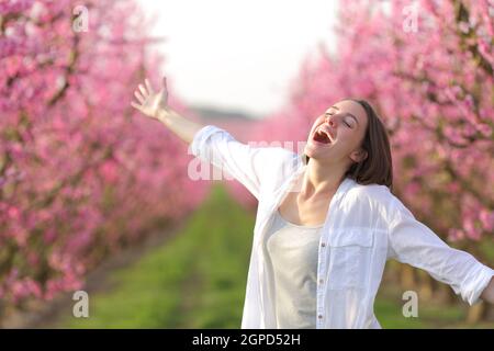 Aufgeregt Frau Strecken Arme feiern Frühling und Urlaub in einem Rosafarbenes Blumenfeld Stockfoto