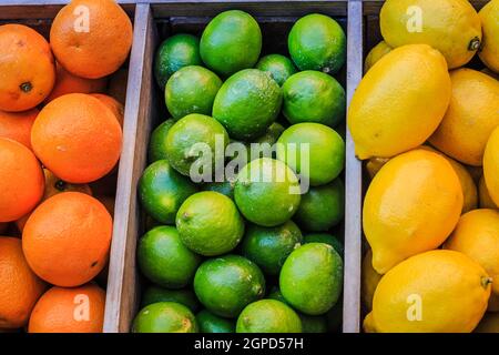 Bunte Orangen, Limetten und Zitronen, aufgenommen auf einem Lebensmittelmarkt in Italien. Stockfoto