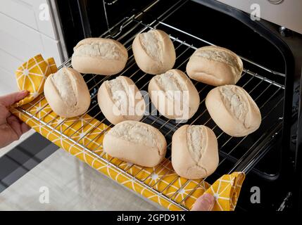 Von oben Erntegut Bäcker mit Handtuch Platzierung Rack mit roh Ungekochte Brötchen im Ofen Stockfoto