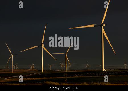 Ein Windpark zur Erzeugung erneuerbarer Energien mit riesigen, von den letzten Sonnenstrahlen beleuchteten Windkraftanlagen in Gallur, Aragon, Spanien Stockfoto