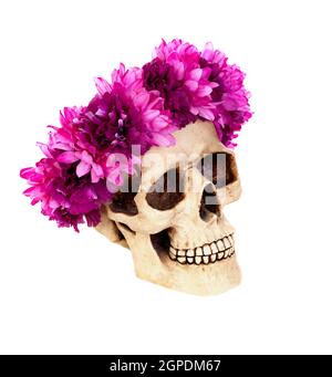 Totenkopf mit einem Kranz aus rosa Blume isoliert auf weißem Hintergrund Stockfoto