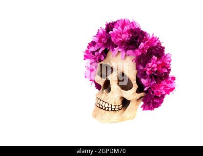 Totenkopf mit einem Kranz aus rosa Blume isoliert auf weißem Hintergrund Stockfoto