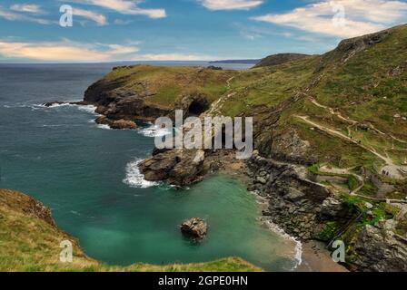 Barras rasen auf der Landzunge von Tintagel, einem Teil der atemberaubenden Küste Cornichs am South West Coastal Path. Stockfoto