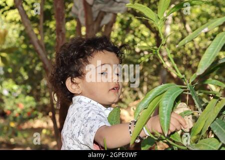 Nahaufnahme Eines niedlichen kleinen Kindes einer hinduistischen Bauernfamilie indianischer Herkunft, das die Blätter der Jasminblüte betrachtet Stockfoto