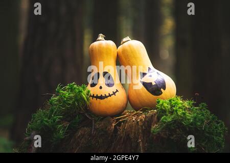 Halloween Kürbisse Jack Laterne im mystischen Wald. Halloween Hintergrund. Stockfoto