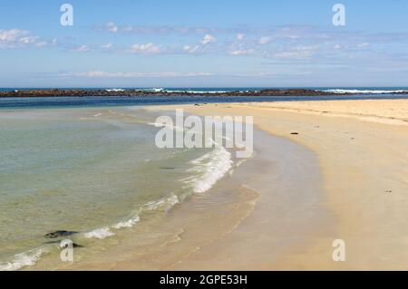 Abgeschiedener Sandstrand auf Griffiths Island - Port Fairy, Victoria, Australien Stockfoto