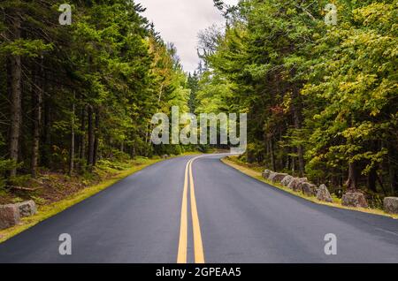 Straße durch Acadia National Park, Maine, Neuengland, USA, Nordamerika Stockfoto