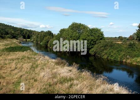 River Tame, Hopwas, Staffordshire, England, Großbritannien Stockfoto