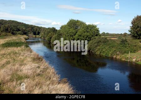 River Tame, Hopwas, Staffordshire, England, Großbritannien Stockfoto