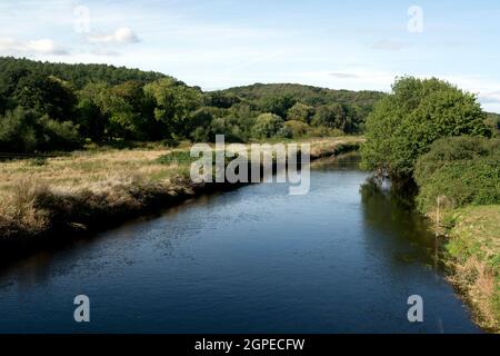 River Tame, Hopwas, Staffordshire, England, Großbritannien Stockfoto