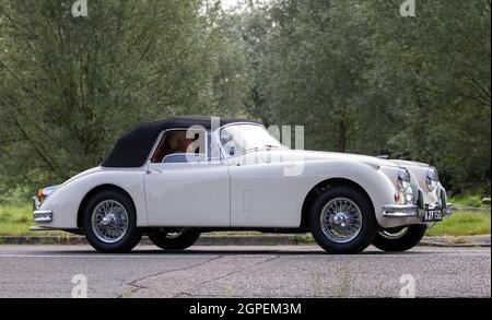 1960 Jaguar 1960 Jaguar XK150 SE Roadster Stockfoto