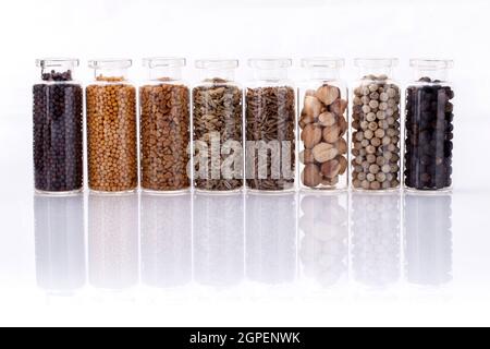Sortierte der Spice-Flaschen Gewürzkraut schwarzer Pfeffer, weißer Pfeffer, Schwarzer Senf, Weißer Senf, Bockshornklee, Kümmel und Fenchel Samen isoliert auf weißem Hinterg Stockfoto