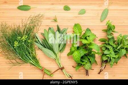 Verschiedene Kräuter und Gewürze aus dem Garten grüne Minze, Fenchel, Rosmarin, Oregano, Salbei, Zitrone, Thymian und Pfefferminze auf alten hölzernen Hintergrund. Stockfoto