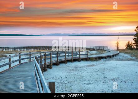 Holzstege in den geothermischen Gebieten des Yellowstone National Park, Wyoming, USA Stockfoto