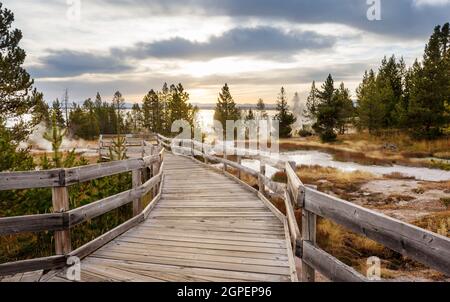 Holzstege in den geothermischen Gebieten des Yellowstone National Park, Wyoming, USA Stockfoto