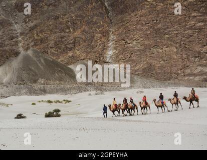 Ladakh, Indien - 18. Juli 2015. Touristen reiten Kamele in Nubra Tal. Das Tal ist berühmt für seine langen Sanddünen und Kamelreiten. Stockfoto