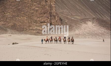 Ladakh, Indien - 18. Juli 2015. Touristen reiten Kamele in Nubra Tal. Das Tal ist berühmt für seine langen Sanddünen und Kamelreiten. Stockfoto