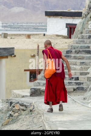 Ladakh, Indien - 18. Juli 2015. Ein junger Mönch im tibetischen Kloster in Ladakh, Indien. Stockfoto