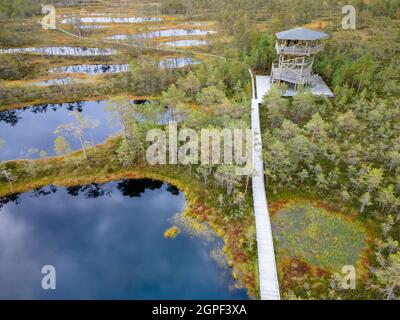 Holzturm Aussichtspunkt in Sumpf oder Moor, Viru raba, Estland. Drohnenansicht Stockfoto