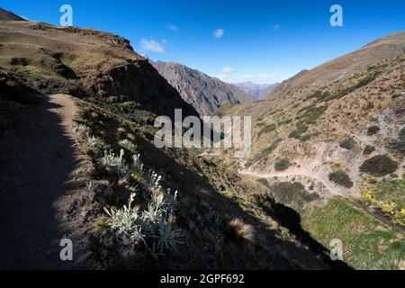 Wanderung entlang der Cordillera Huayhuash, Peru Stockfoto