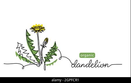 Dandelion Pflanze, Blume eine Linie Kunst Zeichnung. Einfache Vektorlinien-Illustration mit Schriftzügen aus organischem Dandelion Stock Vektor