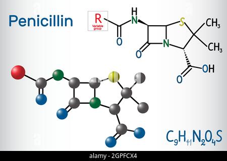 Allgemeine Formel des Penicillin (PCN)-Moleküls. Es ist eine Gruppe von Antibiotika. Strukturelle chemische Formel und Molekülmodell Stock Vektor