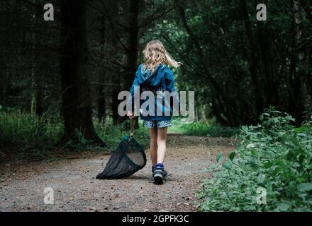 Kinderwanzjagd mit einem Netz im Wald in Schottland Stockfoto