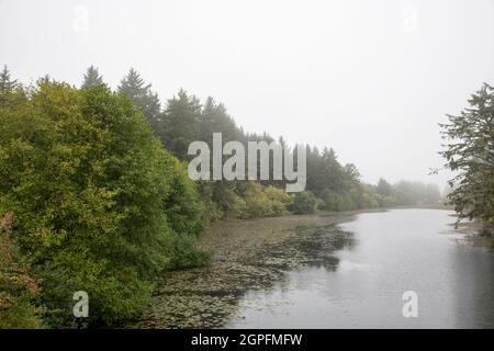 Neblige, Neblige Flusslandschaft Am Morgen Stockfoto