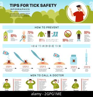 Zeckenbiss. Infografik des menschlichen Schutzes vor Zeckenborreliose Natur Insekt entfernen schwarze Milbe Vektor Aufmerksamkeit Plakat Stock Vektor