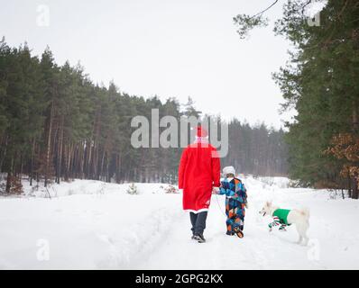 Nicht erkennbarer Mann im Weihnachtsmann-Kostüm, ein Kind im Winteroverall und ein weißer Hund bei einem Elf-Longlive-Spaziergang zu Fuß im Schnee im Wald. Christm Stockfoto