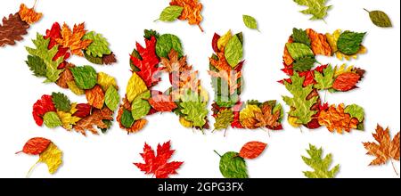 Autumn Sale Textbanner als Baumblätter während einer Herbstsaison als Blattsymbol für Werbemarketing-Verkäufe als Composite. Stockfoto