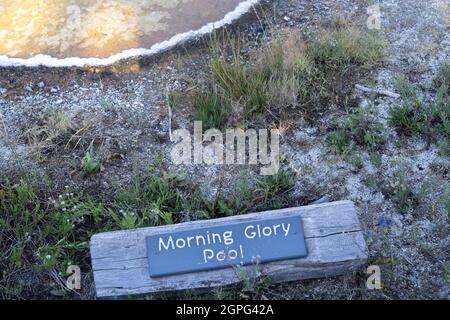 Schild zum Morning Glory Pool im Yellowstone National Park Stockfoto