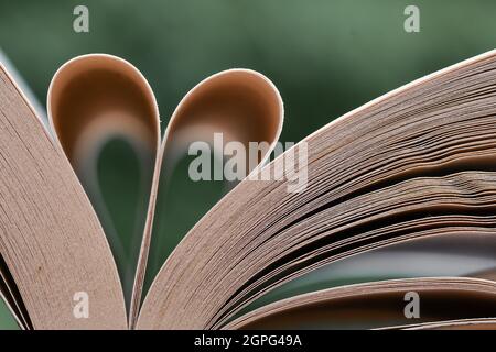 Foto eines Buches mit Seiten, die als Herzform geformt wurden Stockfoto